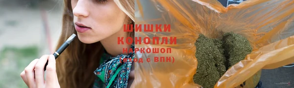 ПСИЛОЦИБИНОВЫЕ ГРИБЫ Алексеевка