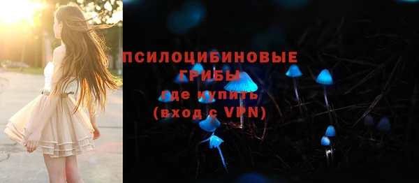 ПСИЛОЦИБИНОВЫЕ ГРИБЫ Алексеевка