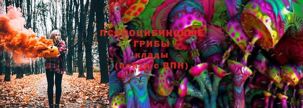 ПСИЛОЦИБИНОВЫЕ ГРИБЫ Алексин
