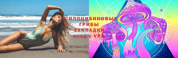 ПСИЛОЦИБИНОВЫЕ ГРИБЫ Алексин