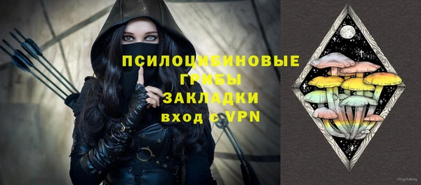 ПСИЛОЦИБИНОВЫЕ ГРИБЫ Алексин