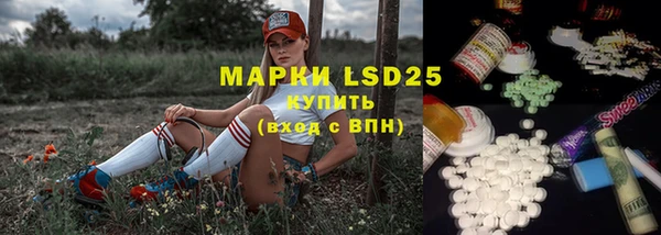 ПСИЛОЦИБИНОВЫЕ ГРИБЫ Алексеевка