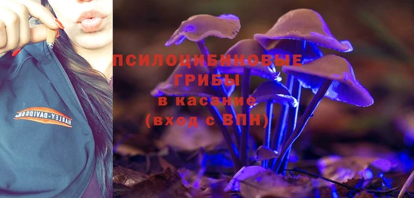 ПСИЛОЦИБИНОВЫЕ ГРИБЫ Алексин
