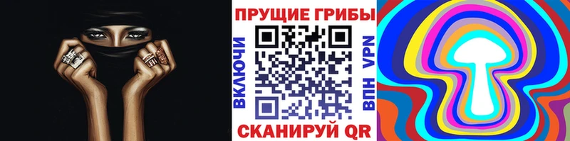 Галлюциногенные грибы Psilocybe где купить Вихоревка
